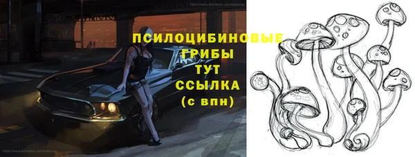 прущие грибы Алексин
