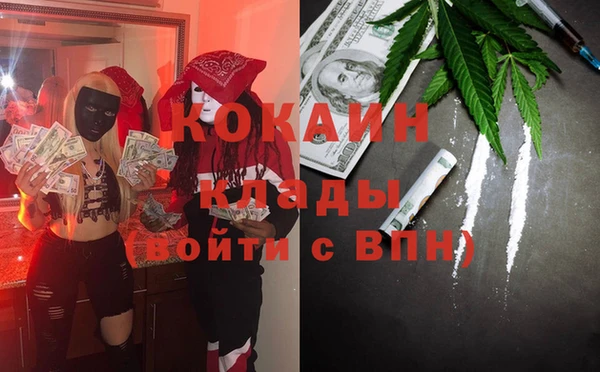 прущие грибы Алексин